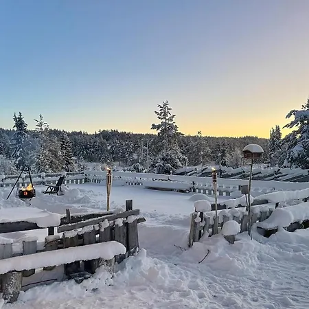 Amazing In Tisleidalen With Sauna Ferienhaus Hovda