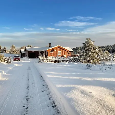 Amazing In Tisleidalen With Sauna Hovda