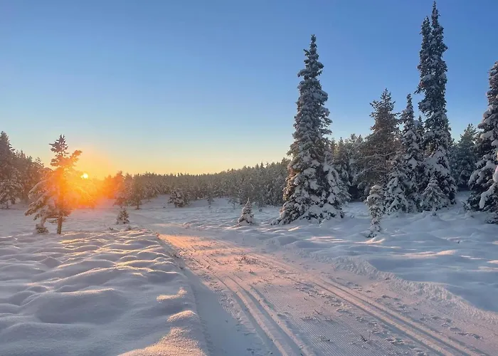 Amazing In Tisleidalen With Sauna Semesterbostad