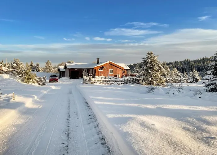 Amazing In Tisleidalen With Sauna Hovda